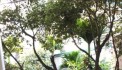 CHO THUÊ CĂN HỘ CCMN T 2, BỜ SÔNG SÉT  GẦN CHUNG CƯ NAM ĐÔ, 75M2, 2 NGỦ, 6.5 TRIỆU